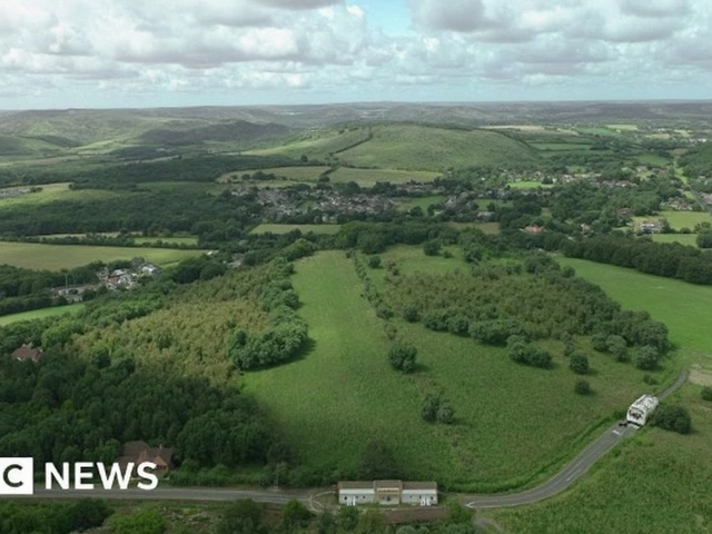 Devon Teens Win Dartmoor Youth Art Prize, Designs to Aid Conservation Projects